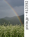 虹