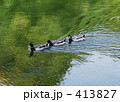 鴨