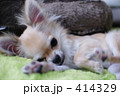 うとうとカンフー