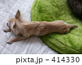 ほそながい