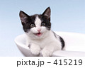 アズキ