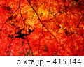 紅葉 04