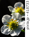 f0975