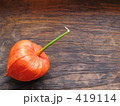 ほうずき
