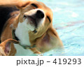 水浴び