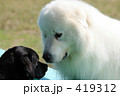見つめ合う