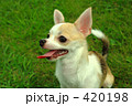 ちょっと休憩