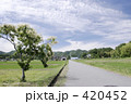 栗の木と一本道