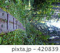道