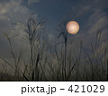 十五夜の約束