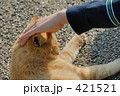 ねこなで
