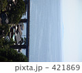 海