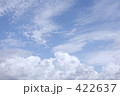 夏の空Ⅵ