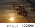 秋の夕日