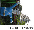 交通整理