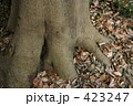 落葉-2