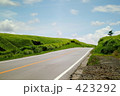 草原を走る一本道