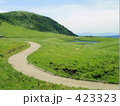 くねくね道2