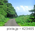 緑道