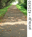 散歩道