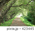 散歩道