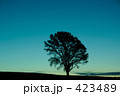 素材ナンバー 423489 : 「夜明け」