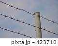 棘