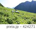 原っぱ