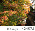 紅葉at 哲学の道２