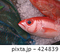 赤い魚