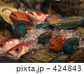 沖縄の魚