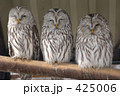ふくろう