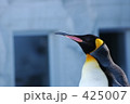 ペンギン