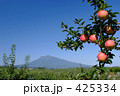 岩木山と赤いリンゴ