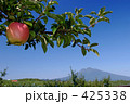 岩木山と赤いリンゴ