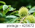 小さな栗の実