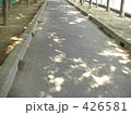 木洩れ日の当たる道