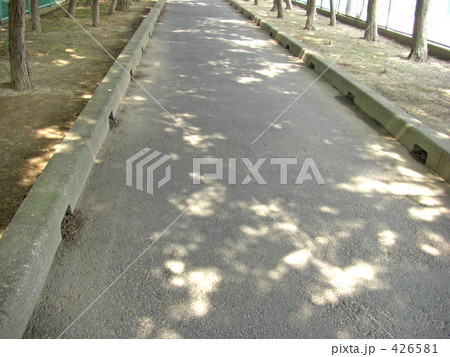 木洩れ日の当たる道 木洩れ日の当たる道