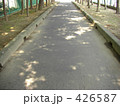 木洩れ日の当たる道 木洩れ日の当たる道