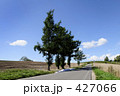 青空と一本道
