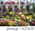 花園