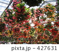 花　満開