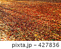 落ち葉と影（紅）