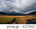 尾瀬の朝