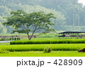 田舎