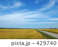 秋の田園風景