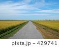 秋の田園風景