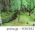 雨上がりの日本庭園