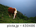 隠岐馬