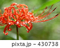 f0986